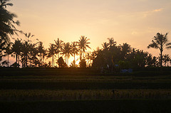 6091965953_96590feb5d_m