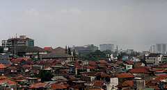 8065382908_3261eff0ab_m